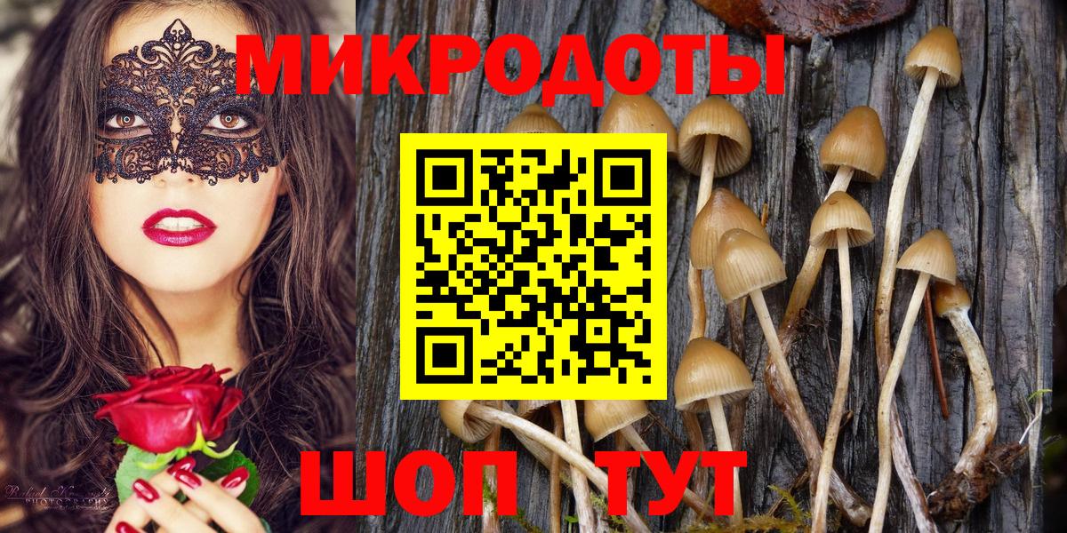 Галлюциногенные грибы Psilocybine cubensis Ливны