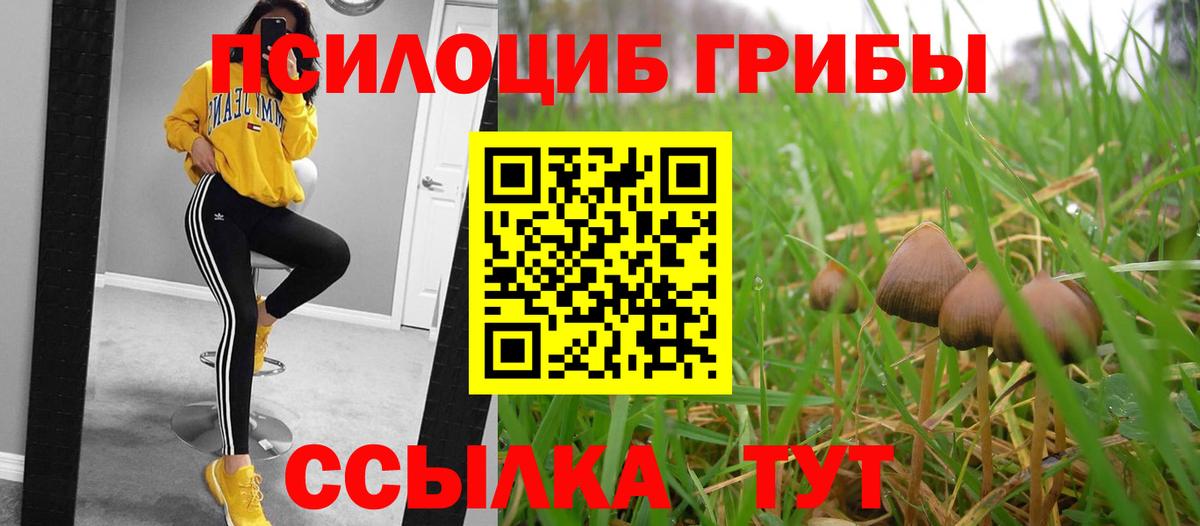 Ливны  Псилоцибиновые грибы MAGIC MUSHROOMS  Вход с VPN  Галлюциногенные грибы ЛСД 